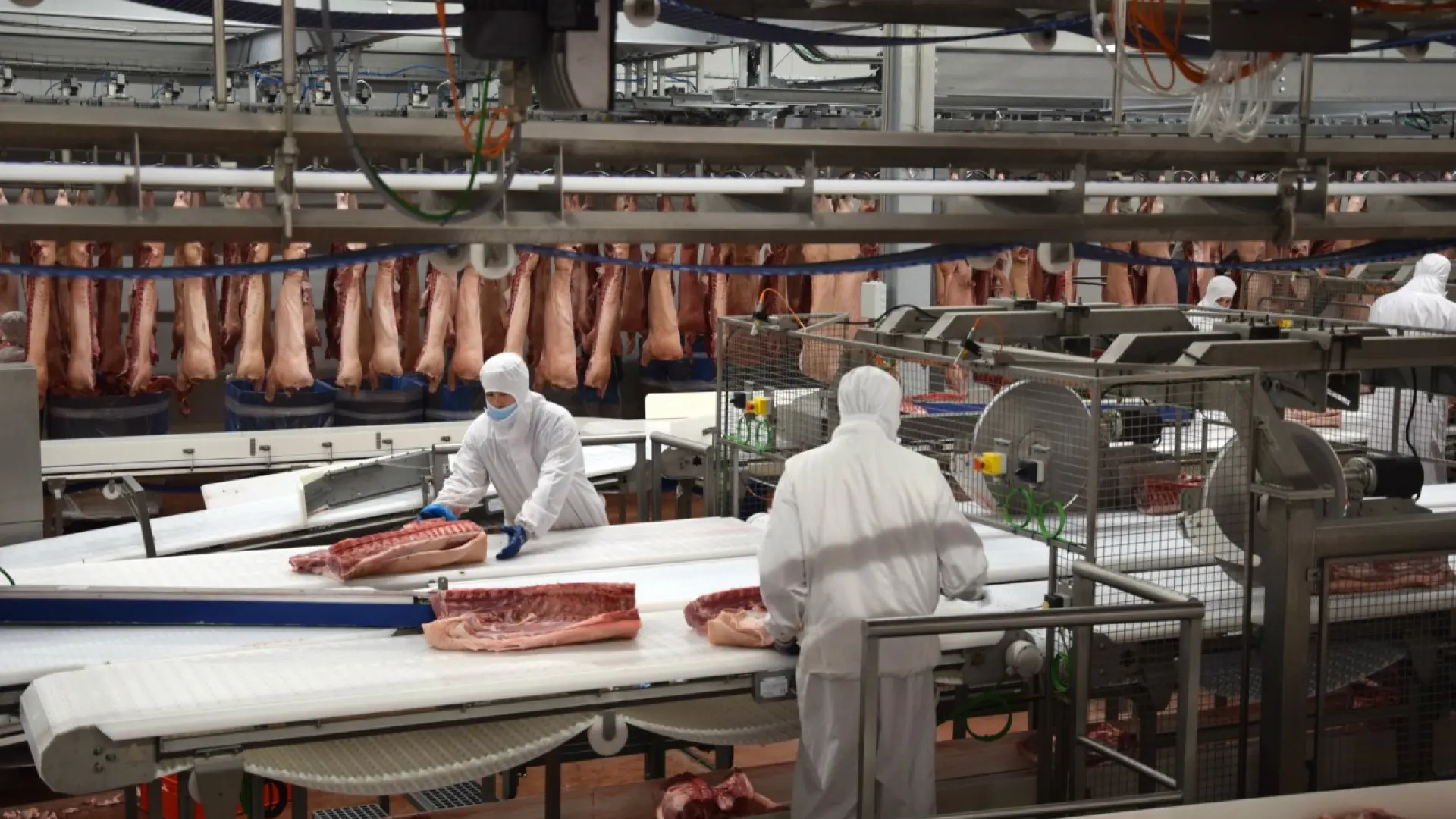 Línea de producción del macromatadero de Binéfar